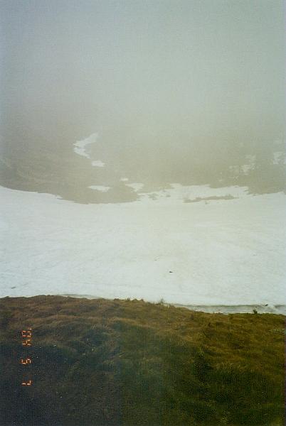 w12.jpg
